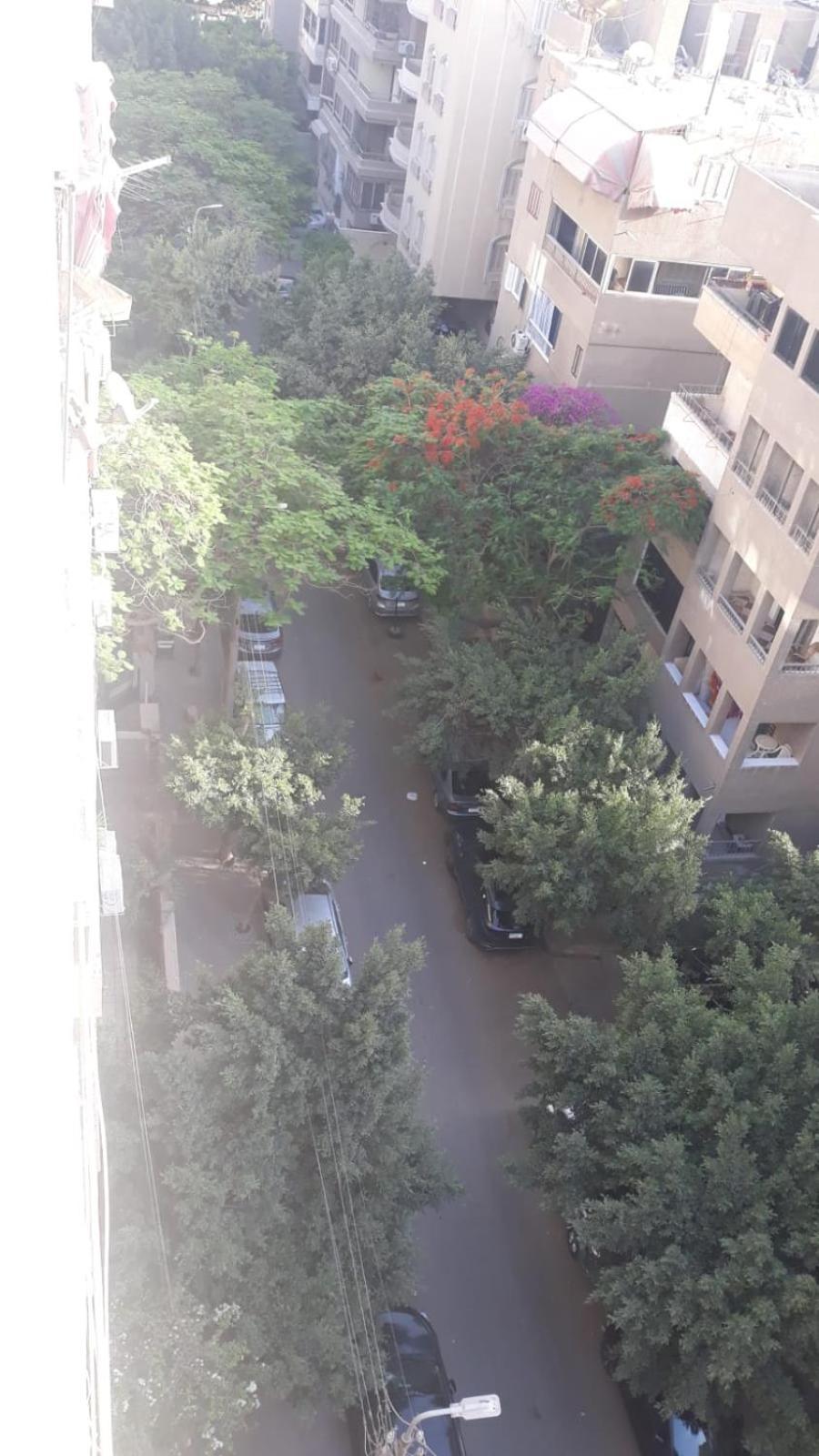 Roof * Cairo